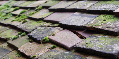 Cauldon roof repair costs